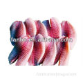 CO Treated tilapia fillet FRESH MEAT